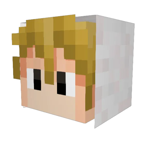 Nomada00 Minecraft avatar head, 3D render