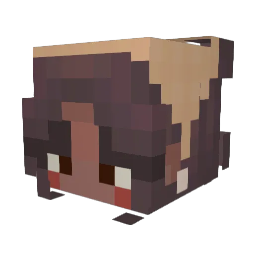 NomadicChickens Minecraft avatar head, 3D render