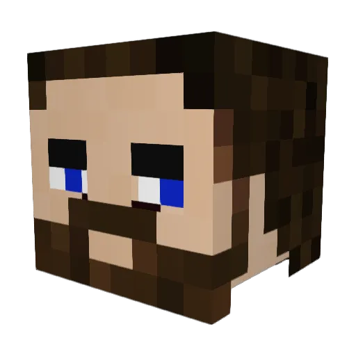 NomadicFox Minecraft avatar head, 3D render