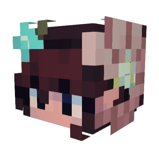 NomadicRocks Minecraft avatar head, 3D render