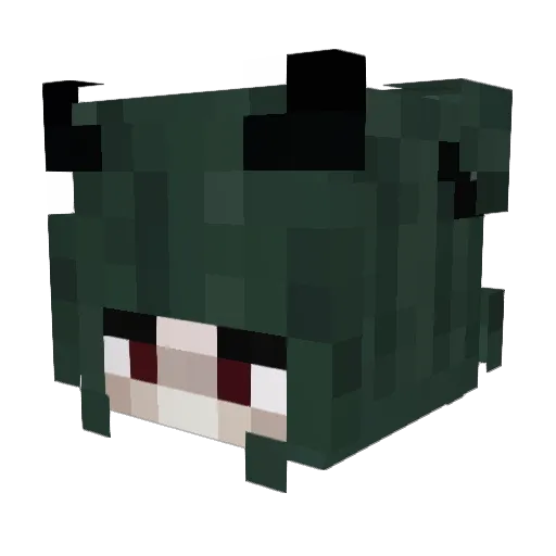 Nomadic_Moon Minecraft avatar head, 3D render