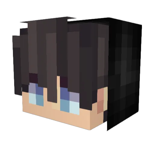 Nomadic_leader Minecraft avatar head, 3D render