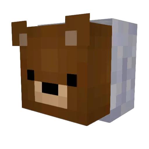 Nomancel Minecraft avatar head, 3D render
