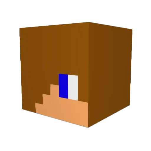 Nomarcatvo Minecraft avatar head, 3D render