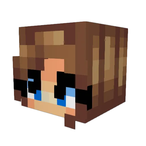 Nomarz Minecraft avatar head, 3D render