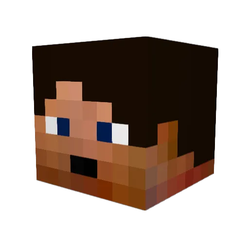 Nomates Minecraft avatar head, 3D render