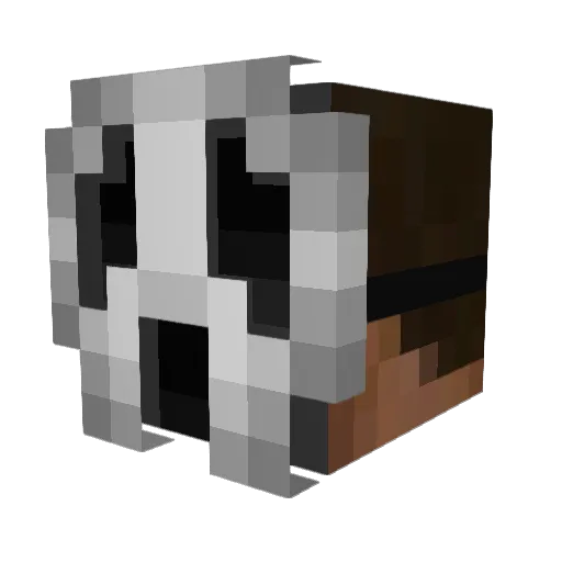 Nome312 Minecraft avatar head, 3D render