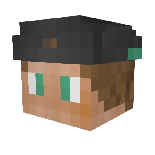 NomeFiltrado Minecraft avatar head, 3D render