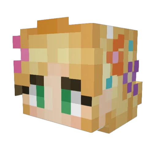 Nomes14 Minecraft avatar head, 3D render