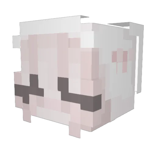 Nomi_05 Minecraft avatar head, 3D render