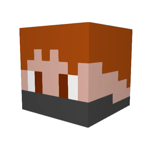Nominingpermit Minecraft avatar head, 3D render