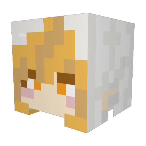 Nominka266 Minecraft avatar head, 3D render