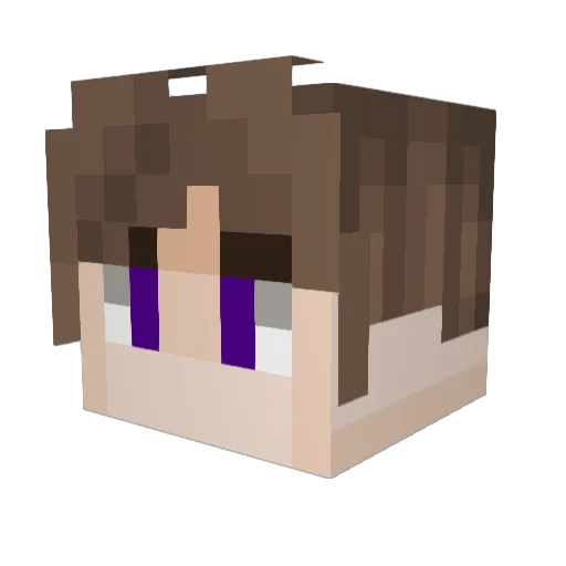 NomitT Minecraft avatar head, 3D render