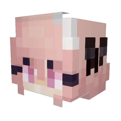 Nomit_20011 Minecraft avatar head, 3D render