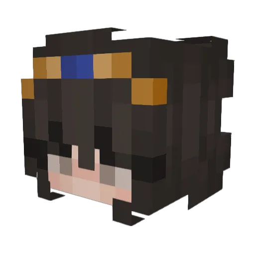 Nomivdh24 Minecraft avatar head, 3D render
