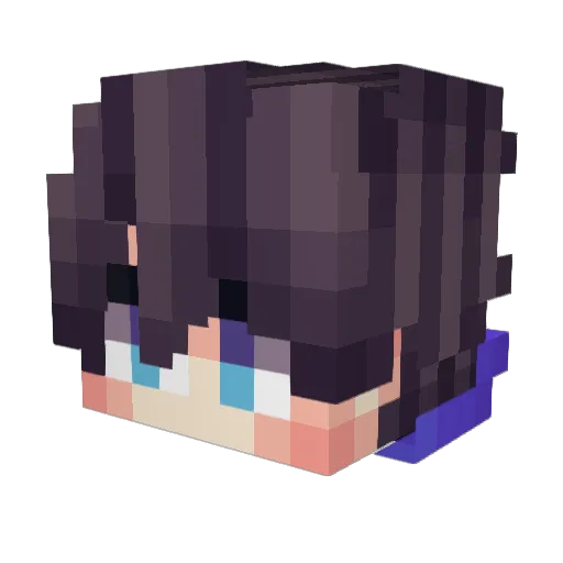 Nomsodpun Minecraft avatar head, 3D render