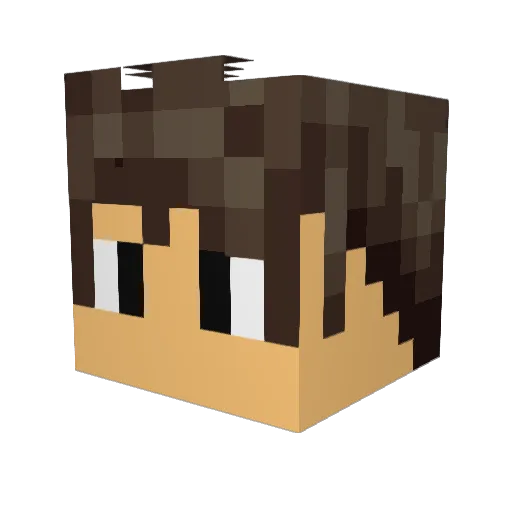 Nomuas Minecraft avatar head, 3D render