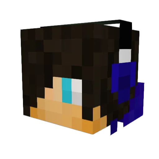 Nomy007 Minecraft avatar head, 3D render