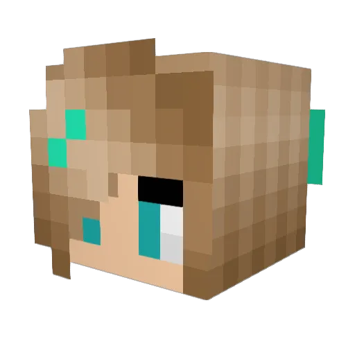 NonJJ Minecraft avatar head, 3D render
