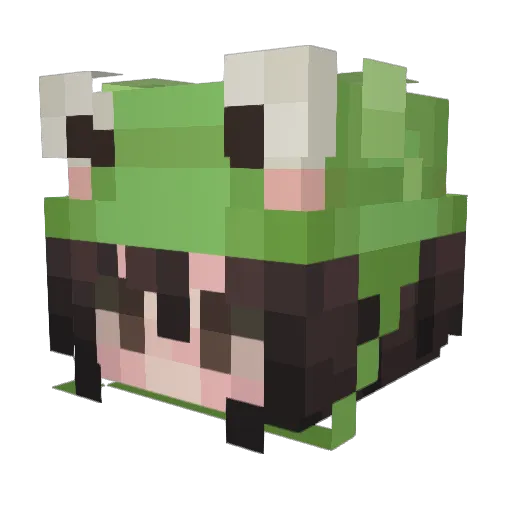 NonNoon Minecraft avatar head, 3D render