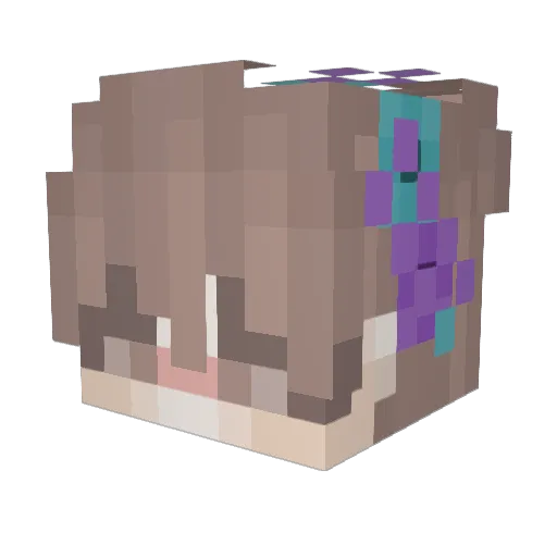 NonRespeckt Minecraft avatar head, 3D render