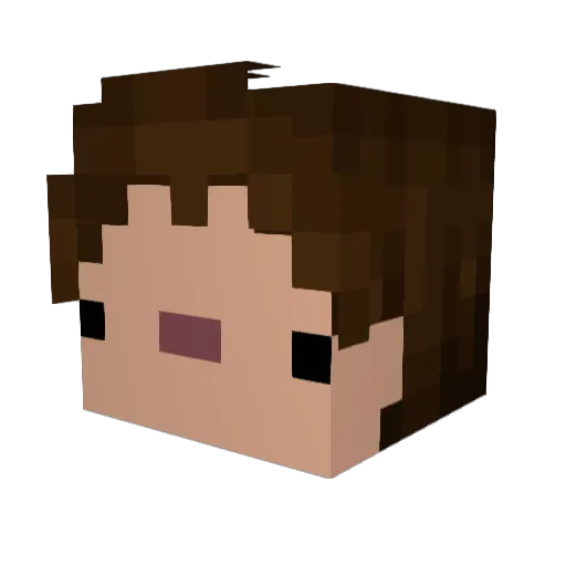 NonSensGuy42920 Minecraft avatar head, 3D render