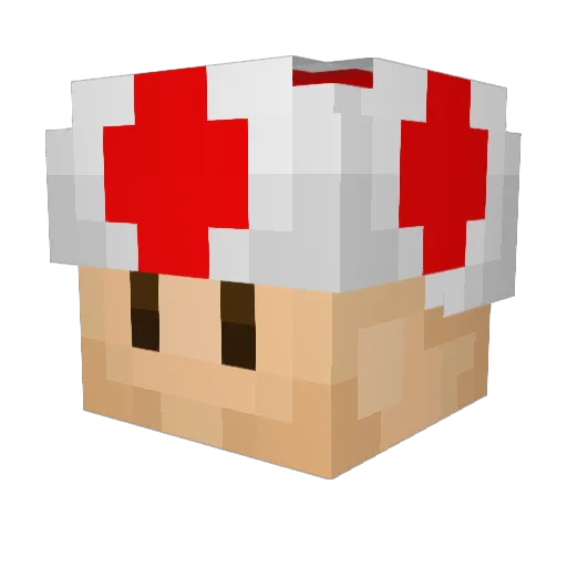 NonSequiturer Minecraft avatar head, 3D render
