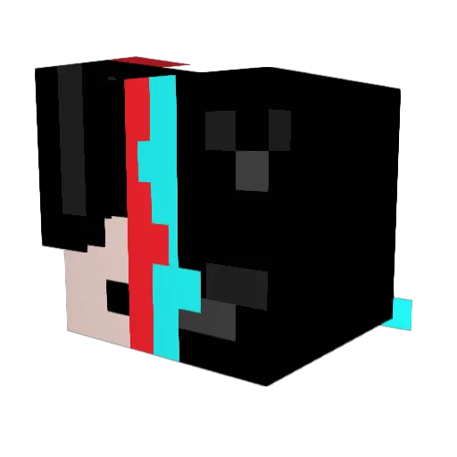 Non_Existent404 Minecraft avatar head, 3D render