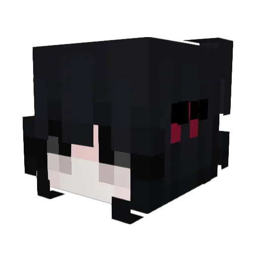 Non_y123 Minecraft avatar head, 3D render