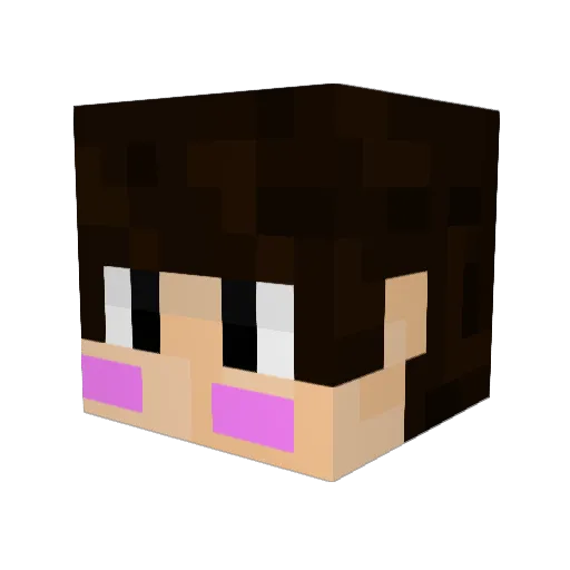 NonaCore Minecraft avatar head, 3D render