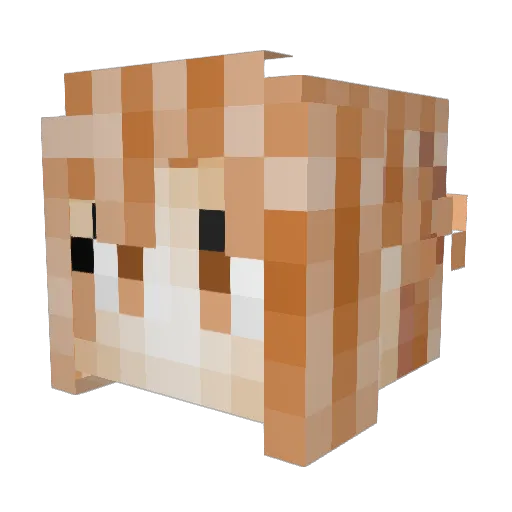 Nonaginta Minecraft avatar head, 3D render