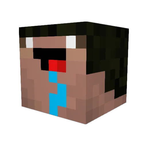 Nonaham_ Minecraft avatar head, 3D render