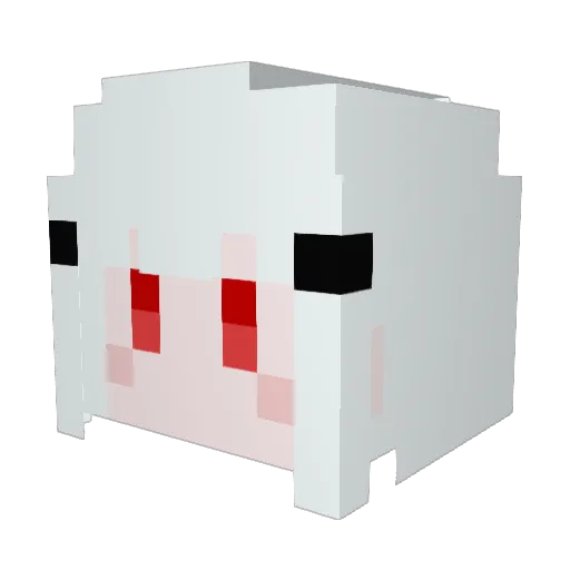 Noname5564 Minecraft avatar head, 3D render