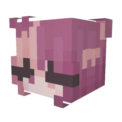 Nonapan Minecraft avatar head, 3D render