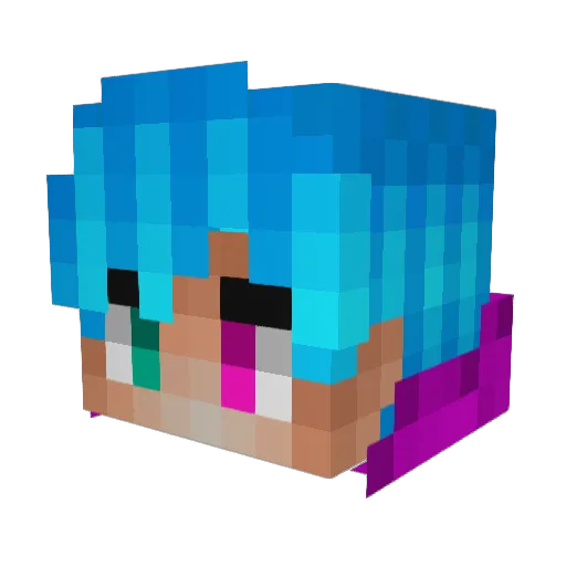 Nonau10 Minecraft avatar head, 3D render