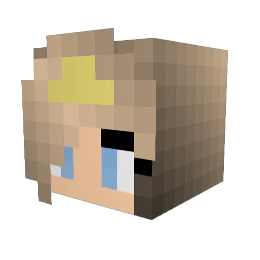 Noners Minecraft avatar head, 3D render