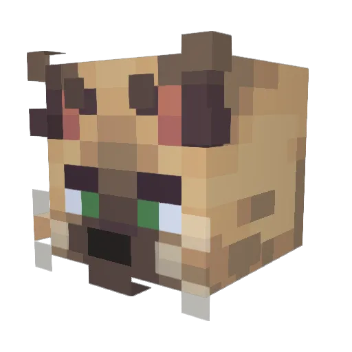 Nongjag Minecraft avatar head, 3D render