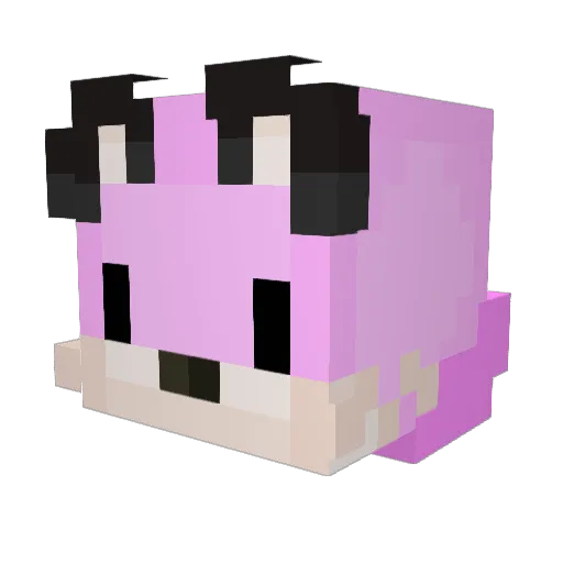 Nongkenglnwza Minecraft avatar head, 3D render