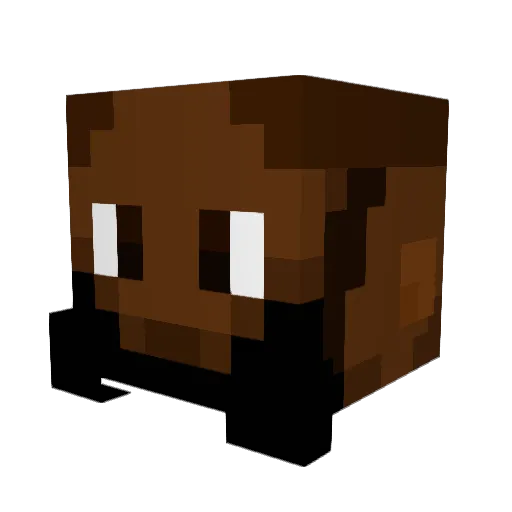 NoniEmmet Minecraft avatar head, 3D render
