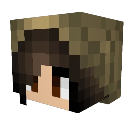 Nonkon731 Minecraft avatar head, 3D render