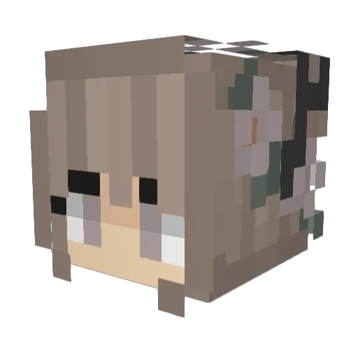 Nono3410 Minecraft avatar head, 3D render
