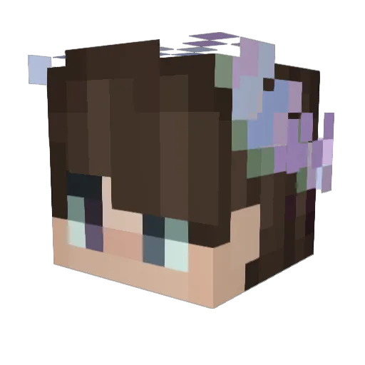 NonoDesGlaces Minecraft avatar head, 3D render