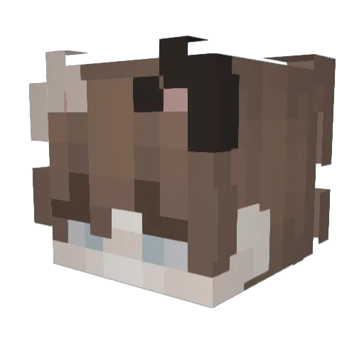 Nono_002 Minecraft avatar head, 3D render