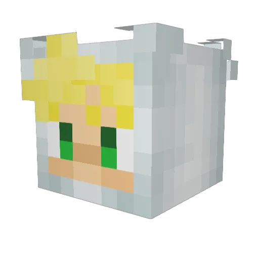 Nono_123456 Minecraft avatar head, 3D render