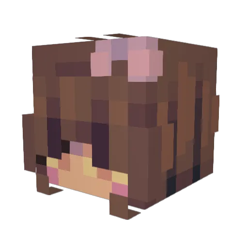 Nonocraft20 Minecraft avatar head, 3D render