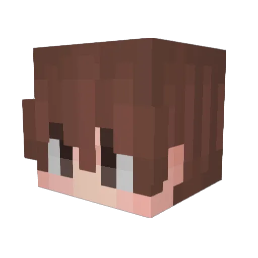 Nonotisto Minecraft avatar head, 3D render