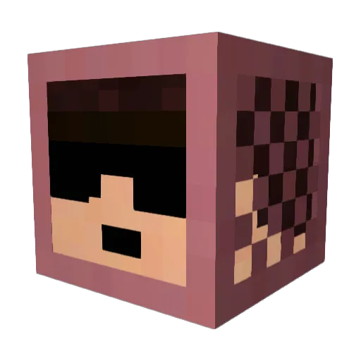 Nonprehension Minecraft avatar head, 3D render