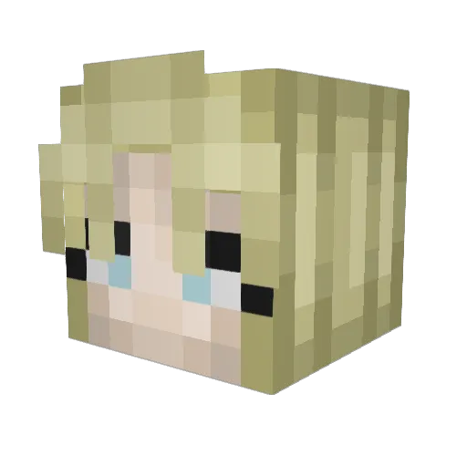 Nonsont Minecraft avatar head, 3D render