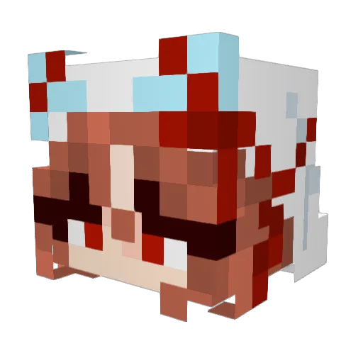 NonsterDoge Minecraft avatar head, 3D render