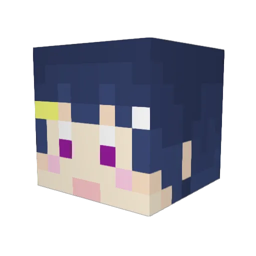 Nonsugar_28 Minecraft avatar head, 3D render